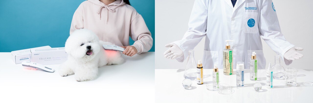 Pet-specialized BIO-TECH company, Doocamedi